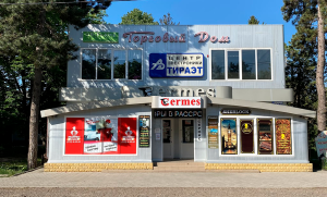 г. Слободзея